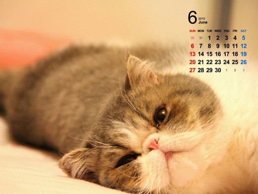 402832 (a): :1600x1200